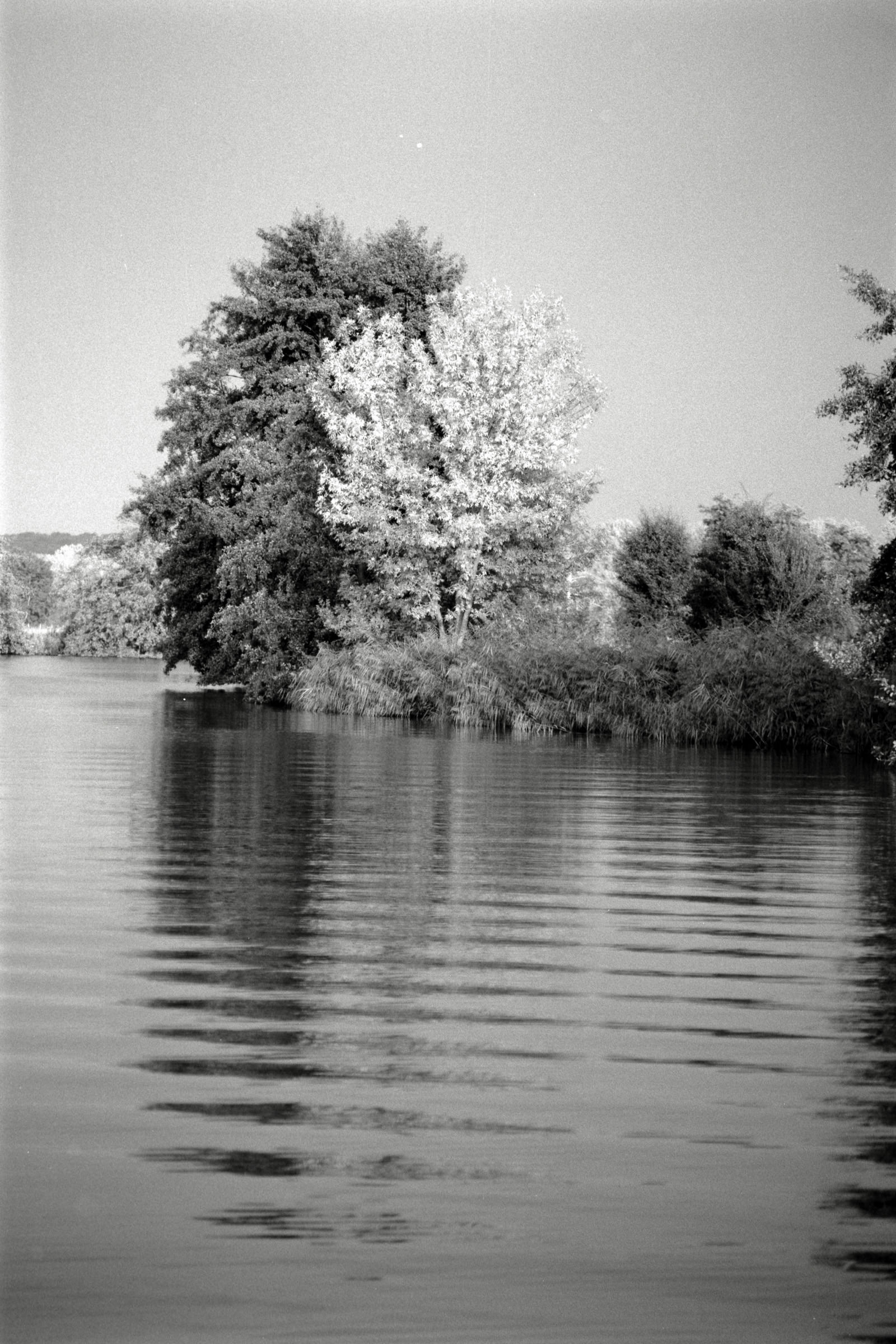 AHP F1990 09 004 sc250506 img34 NLP